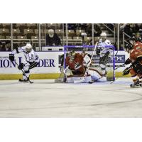 Monarchs Fall to Thunder in Shootout, 4-3