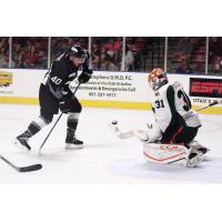 Eick, Grizzlies Top Steelheads in Season Opener