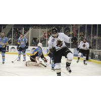 Gladiators Fall to Toledo 7-4 in Offensive Battle