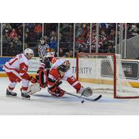 Greyhounds Weather Late 67's Charge, Win 4-1