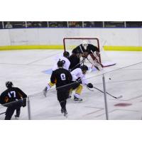 RiverKings Fall Short against Ice Bears