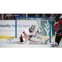 Indy's Hildebrand Named CCM Goaltender of the Week