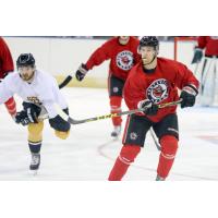Havoc Announce 2016-17 Regular Season Roster