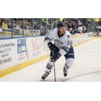 Team Effort Propels 'Blades to Victory over Orlando