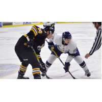Stampede Come up Short against Green Bay