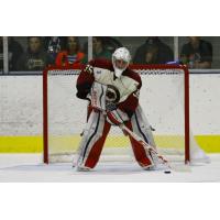 Storm Adds Goaltender Eric Dop from NAHL