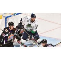 Ethan Werek Joins Solar Bears