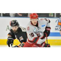 Weekend Preview: Havoc Take on Ice Bears for Home-And-Home Matchup
