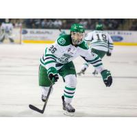 Steelheads Add Sanderson, Ewanyk Joins AHL Stars