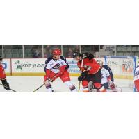 Thunder Pick Up Another Point But Drop 2-1 Shootout Loss To Elmira