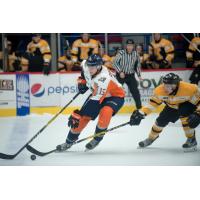 Firebirds Fall in Kingston 3-0 Friday
