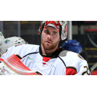 Matt O'Connor Recalled by Ottawa; Alex Vazzano Signed to PTO