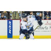 Toledo's Tylor Spink Is AMI Graphics ECHL Plus Performer of the Month