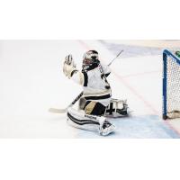 Wheeling's Carr Named CCM ECHL Goaltender of the Week
