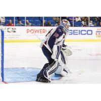 Phillips Named ECHL Goaltender of the Month