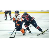 Henderson Named OHL's Defenseman of the Month for October