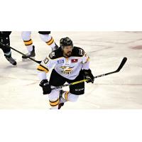 Colorado's Pierro-Zabotel Named CCM ECHL Player of the Month