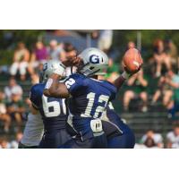 Rattlers Sign Five More Players for the 2017 Season