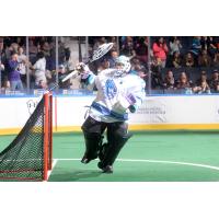 Knighthawks Announce Preseason and Training Camp Dates