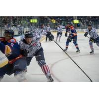 Everblades Cruise Past Admirals 4-1