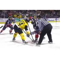 RiverKings Lose 4-3 to Mayhem