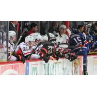 Englund Notches His First in B-Sens 4-1 Loss