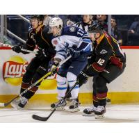 Monsters Trampled by Moose, 5-2