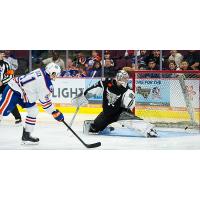 Condors Leading Scorer, Taylor Beck, Recalled by Edmonton