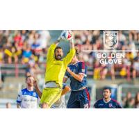 FC Edmonton Goalkeeper Matt VanOekel Wins NASL Golden Glove