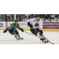 Atlanta Falls Short in 2-1 Loss to Everblades