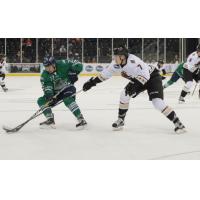 Everblades Secure Wild 6-5 Win over Gladiators