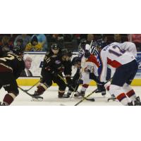 Buzzeo Nets Winner in Gladiators 4-3 Overtime Victory