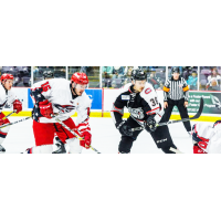 Explosive Offense and Strong Goaltending Lift Beast to Third Straight Win