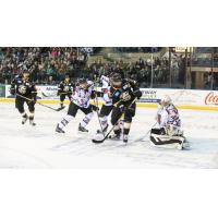 Eagles Fire Season-High 41 Shots on Goal in 2-1 Loss at Rapid City