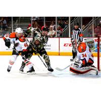 Lyon Tames Bears in 6th Straight Phantoms' Win