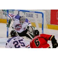 STEELHEADS: Steelheads Weekly Report: November 14