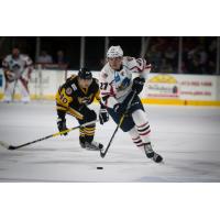 Monarchs Announce Players Transactions