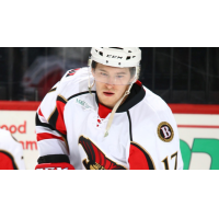 Ottawa Senators Recall Forward Max McCormick