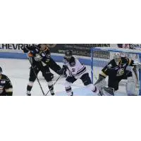 Eagles Defeat Stingrays 4-2 in First Ever Meeting