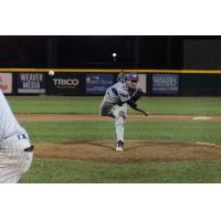 2017 United Shore Professional Baseball League Open Tryout