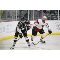 Nailers Winning Streak Stopped by Fuel