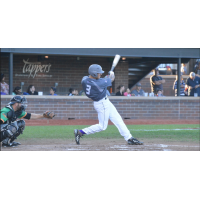 USPBL Has Eighth Player Signed by Major League Organization