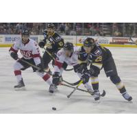 Eagles Pick up Valuable Point in 4-3 Shootout Loss to Rush