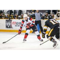 Chmelevski's Late Goal Powers 67's Past Sting
