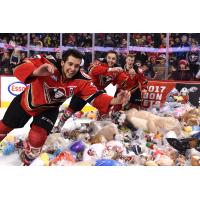 Hitmen Fans Toss 23,924 Plush Toys at the Brick Teddy Bear Toss 2016