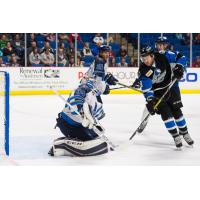 Loiseau Remains Hot in 2-1 Shootout Loss at Tulsa