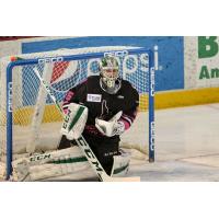 Steelheads Announce Roster Moves- Desrosiers and Troock Join Idaho, Bow Recalled to Texas
