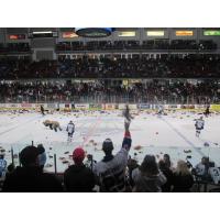 STEELHEADS: Steelheads to Host Teddy Bear Toss for Tots on Saturday