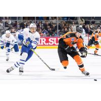 Phantoms Race Past Marlies