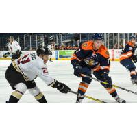Malcolm's 40 Saves Propel Swamp Rabbits Past Gladiators 4-1